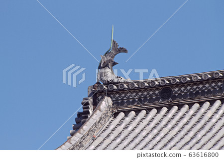 春天的松本城風景 春天的松本城風景 63616800
