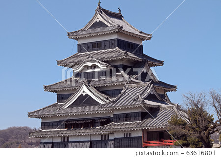 Matsumoto Castle scenery in spring 63616801