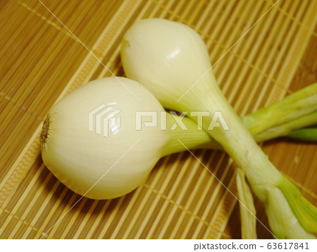 有機圖像（新洋蔥：自然紋理） 63617841