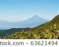 Mt. Fuji seen far away 63621494