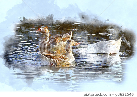 A Digital Watercolor Painting Of Ducks On a Pond 63621546