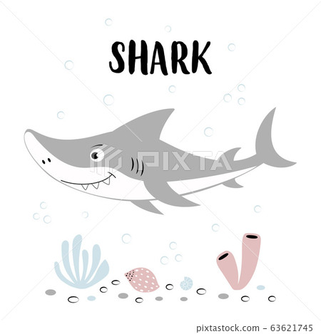 cute shark with lettering isolated on white, 63621745