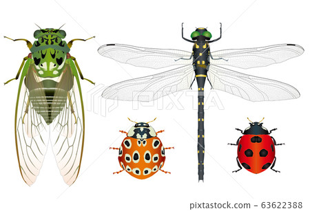 Minminzemi，Onyanma，Eunmontento，Nanahoshitento 63622388