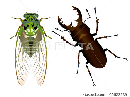 民民研討會和宮山yama 63622389