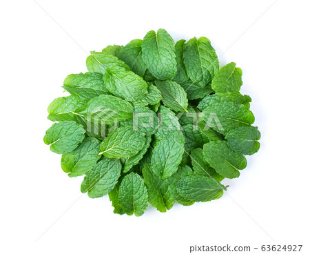 Fresh mint leaves pattern isolated on white background. top view 63624927