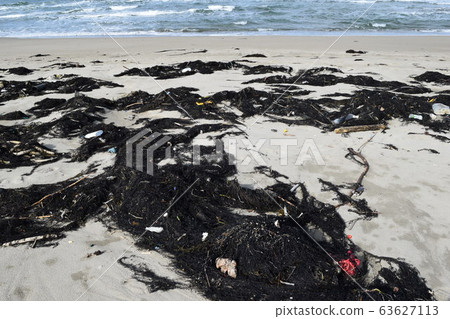 Seaweed and garbage that drifted ashore 63627113