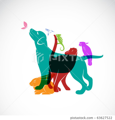 Vector group of pets - Dog, cat, parrot, Animal.