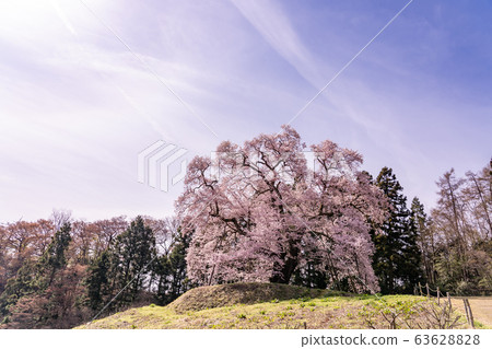 福島縣川端町秋山市小櫻 63628828