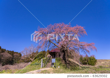 福島縣郡山市 福島縣郡山市 63629302