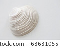 Seashell close-up, white background 63631055