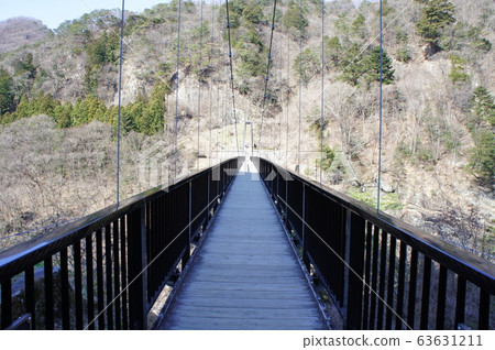 Suspension bridge 63631211