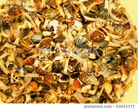 Clams moving out of the water pipe Clams moving out of the water pipe 63633375