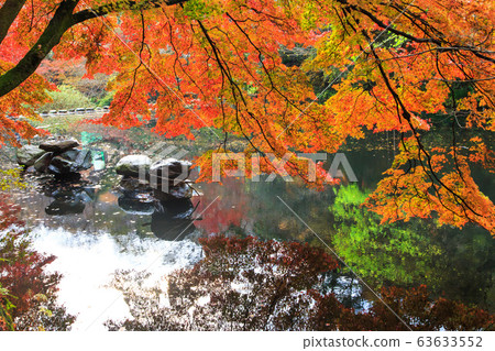 Autumn leaves in front of Ssanggyeru Pavilion in Baekyang Temple 63633552