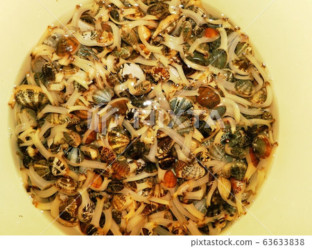 除沙後立即將活蛤c 63633838