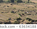 Nature of Bhutan 63634188