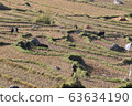 Bhutan Agriculture 63634190