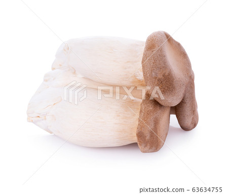 King oyster mushroom Pleurotus eryngii on white King oyster mushroom Pleurotus eryngii on white 63634755