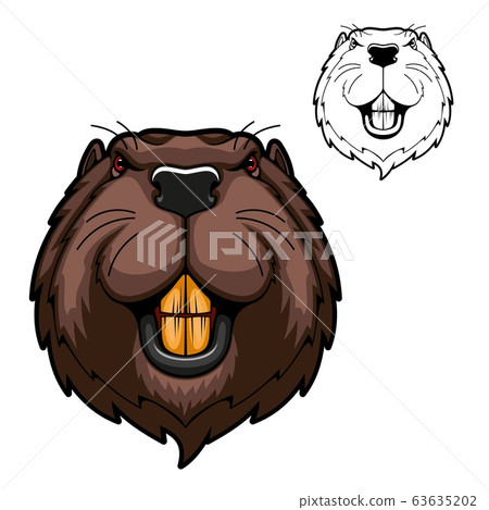 Beaver mascot of rodent animal head with teeth Beaver mascot of rodent animal head with teeth 63635202