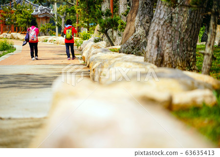 旅行者在清山道的斜坡上行走 63635413