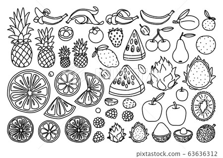 vector cute drawn fruits set vector cute drawn fruits set 63636312