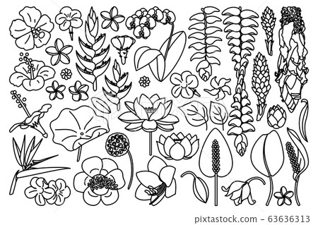 vector cute drawn plant clipart vector cute drawn plant clipart 63636313