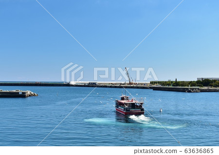 熱海港遊船擠滿了海鷗 熱海港遊船擠滿了海鷗 63636865