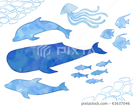 海洋生物插圖集（手繪，水彩風格） 63637046