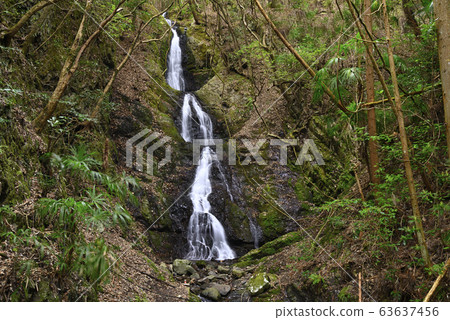 Mie Falls (Katsuragagi-cho, Ito-gun, Wakayama Prefecture) 63637456