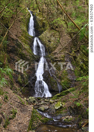 Mie Falls (Katsuragagi-cho, Ito-gun, Wakayama Prefecture) 63637460