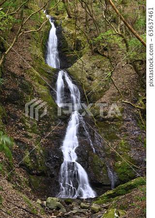 三重瀑布(和歌山縣伊東郡勝木町) 三重瀑布(和歌山縣伊東郡勝木町) 63637461