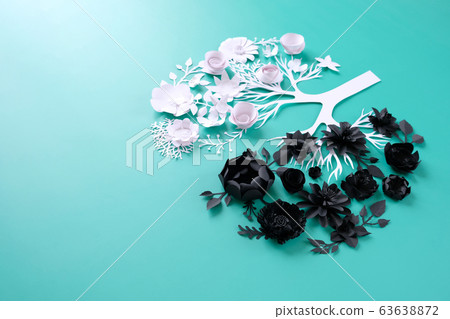 one affected lung and one healthy one one affected lung and one healthy one 63638872