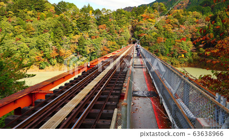 Shizuoka Prefecture Oigawa Railway Okuoi Lake Station Autumn leaves Shizuoka Prefecture Oigawa Railway Okuoi Lake Station Autumn leaves 63638966
