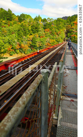 Shizuoka Prefecture Oigawa Railway Okuoi Lake Station Autumn leaves Shizuoka Prefecture Oigawa Railway Okuoi Lake Station Autumn leaves 63638967