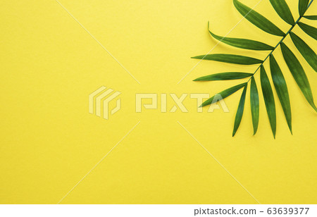 Palm leaves on yellow background Palm leaves on yellow background 63639377