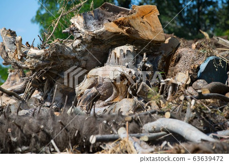 disaster disaster 63639472