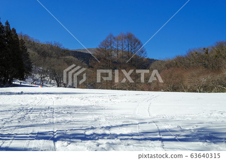 冬季“廣島縣立森林”(2020年2月) 冬季“廣島縣立森林”(2020年2月) 63640315