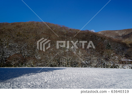 Winter "Hiroshima Prefectural Forest" (February 2020) 63640319