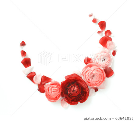 Circle frame made of ranunculus flowers on a white 63641055