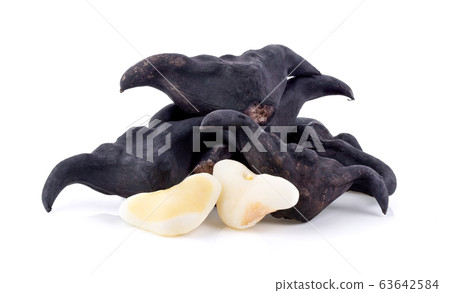Water chestnut, Water caltrops on white background full depth of field Water chestnut, Water caltrops on white background full depth of field 63642584