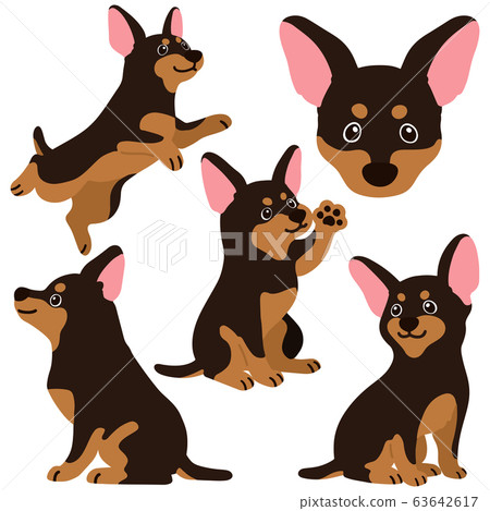 各種姿勢的微型杜賓犬,無需幹線 各種姿勢的微型杜賓犬,無需幹線 63642617