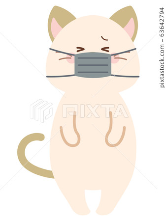 Cat wearing a mask Cat wearing a mask 63642794