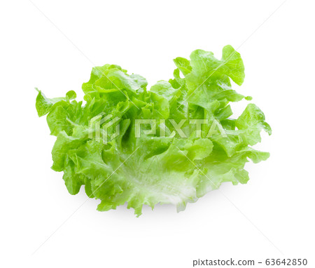 Salad leaf. Lettuce isolated on white background. full depth of field Salad leaf. Lettuce isolated on white background. full depth of field 63642850