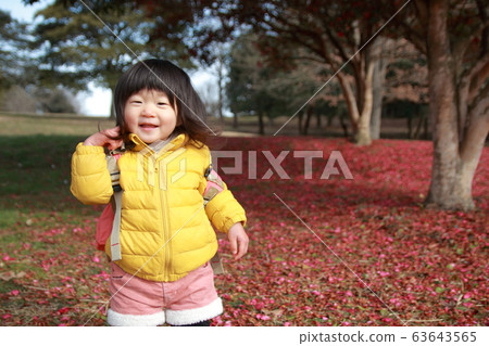 Sasanqua carpet Sasanqua carpet 63643565
