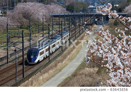 Keisei Electric Railway Narita Sky Access and Sakura in full bloom passing through the Hokuso Line near Shiroi City, Chiba Prefecture Keisei Electric Railway Narita Sky Access and Sakura in full bloom passing through the Hokuso Line near Shiroi City, Chiba Prefecture 63643856