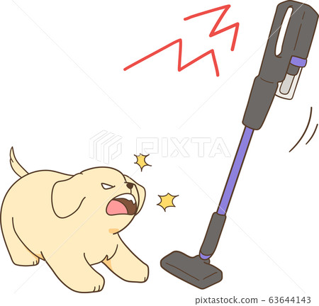 Golden Retriever Puppy (Barking at Vacuum Cleaner) Golden Retriever Puppy (Barking at Vacuum Cleaner) 63644143