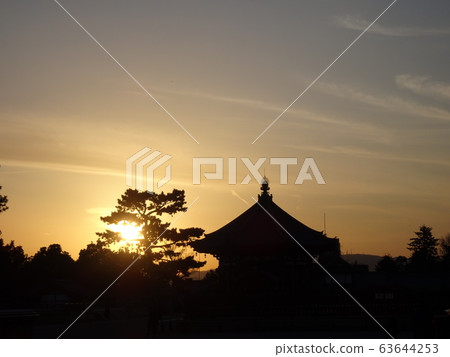 Kofukuji Temple's Nanendo Hall and the silhouette of a pine tree, the setting sun and evening sky 63644253