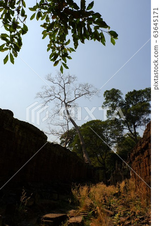 普里亞汗普里亞坎考古遺址Ghajmar Angkor Wat考古遺址世界遺產柬埔寨塞姆里亞德 普里亞汗普里亞坎考古遺址Ghajmar Angkor Wat考古遺址世界遺產柬埔寨塞姆里亞德 63645171