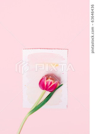 A greeting card on a pink background. 63646436