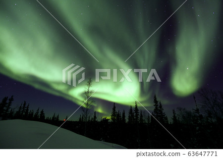 Aurora, Aurora 63647771