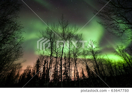 極光，極光 63647780
